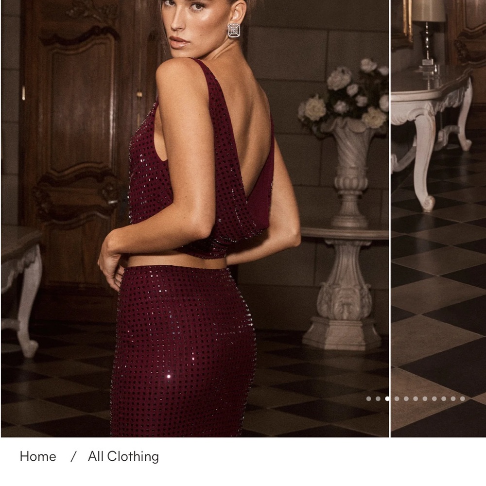 MESHKI Berry Diamonte Top - Picture 3 of 3